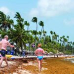 Sargassum Crisis Escalates in the Dominican Republic and Caribbean in 2025