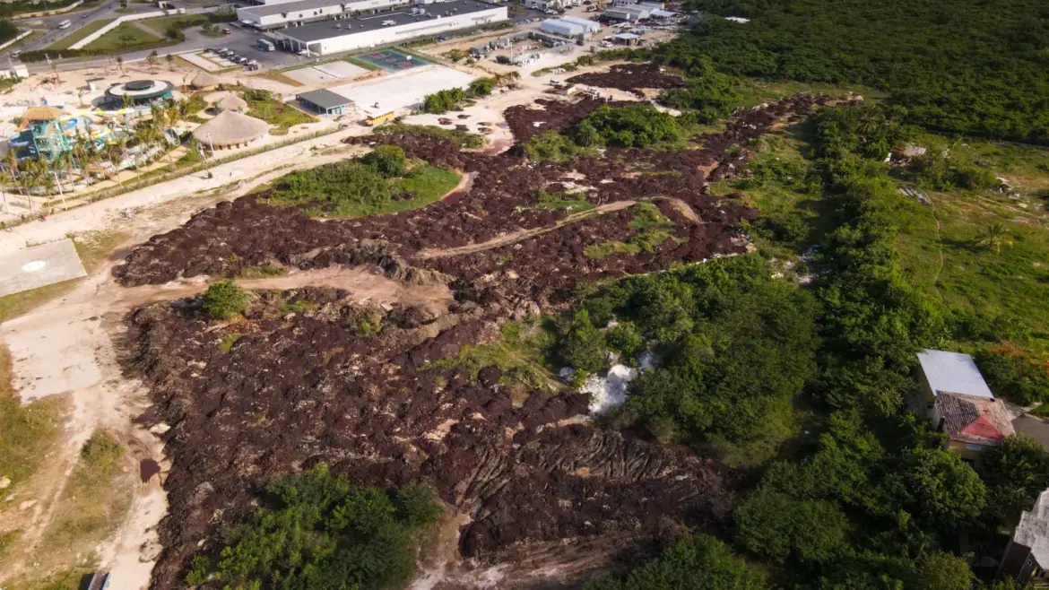 Environment Ministry Suspends Unauthorized Coastal Activity by Grand Sirenis Hotel in Uvero Alto