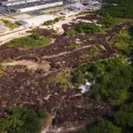 Environment Ministry Suspends Unauthorized Coastal Activity by Grand Sirenis Hotel in Uvero Alto