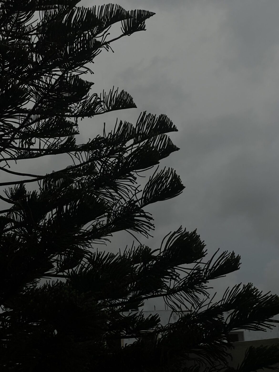 Cloudy Skies and Intermittent Showers Dominate Saturday in Punta Cana