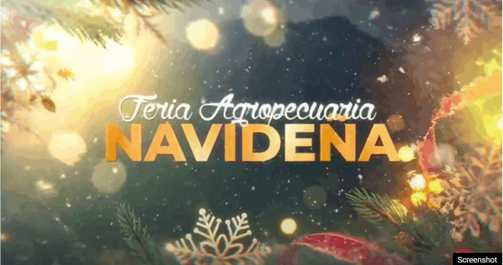 ITS TODAY The Grand Christmas Agricultural Fair Kicks Off in Veron Punta Cana