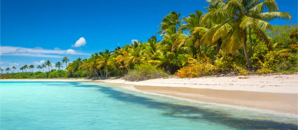 Punta Cana Drives National Record Dominican Republic Surpasses 10 Million Visitors by November 2025