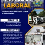 Veron Punta Cana Mayors Office Opens Driver Vacancies