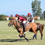 International Womens Polo Cup 2026 Punta Cana Hosts Elite Event