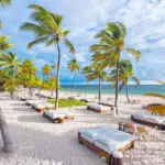 Why Punta Cana Travel Updates 2025 Confirm Its Still 1
